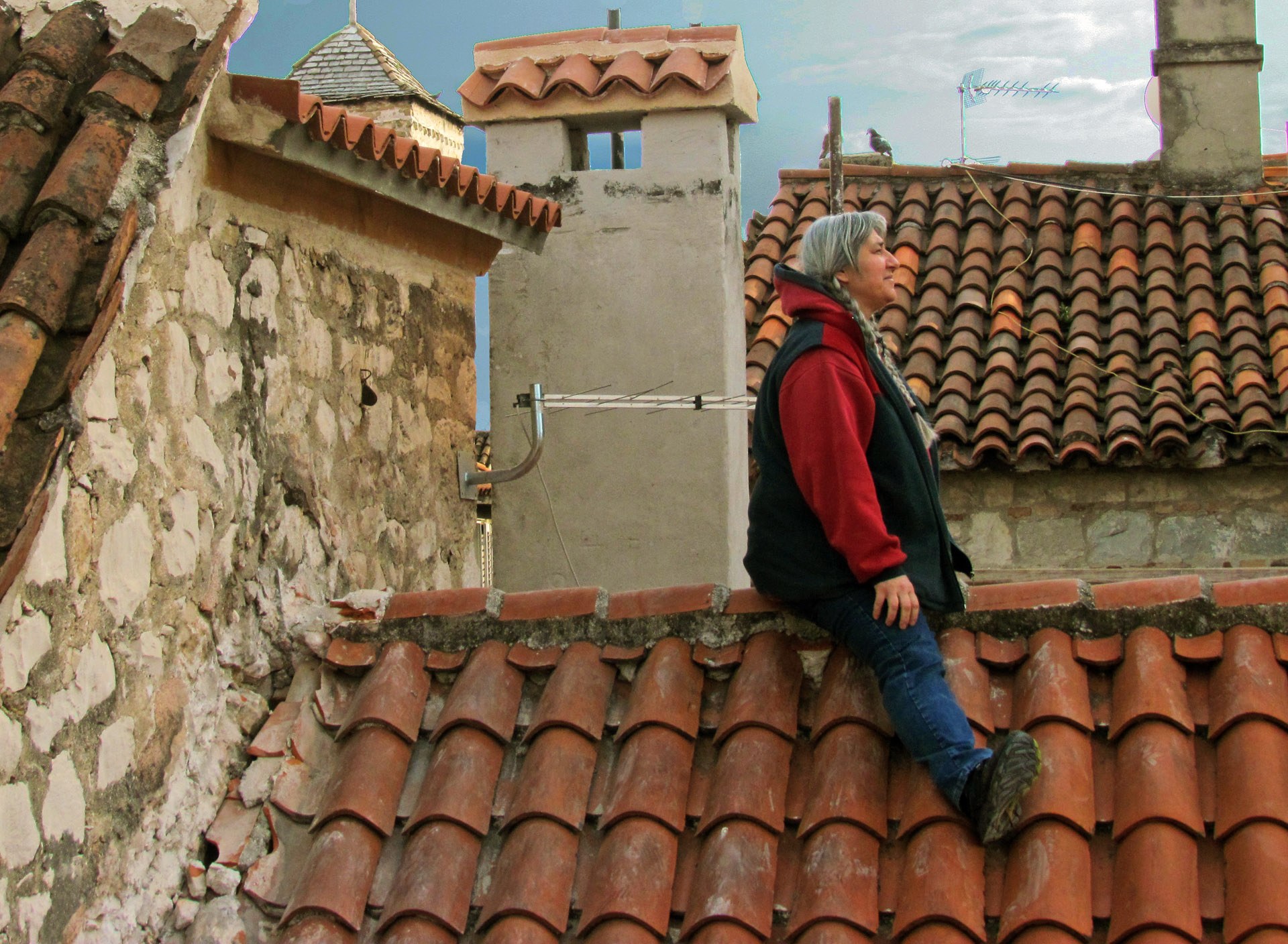 The restored roof and chimney adjacent to the synagogue, 2014